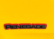 2015 Jeep Renegade 2.4 Trailhawk Automatic